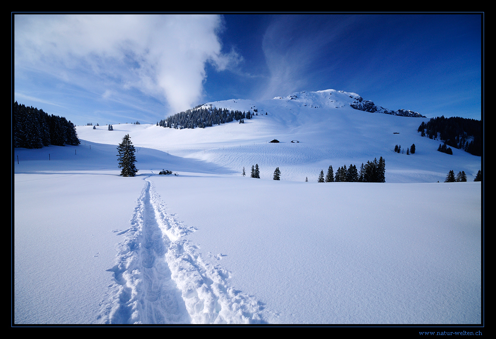 Winterlandschaft