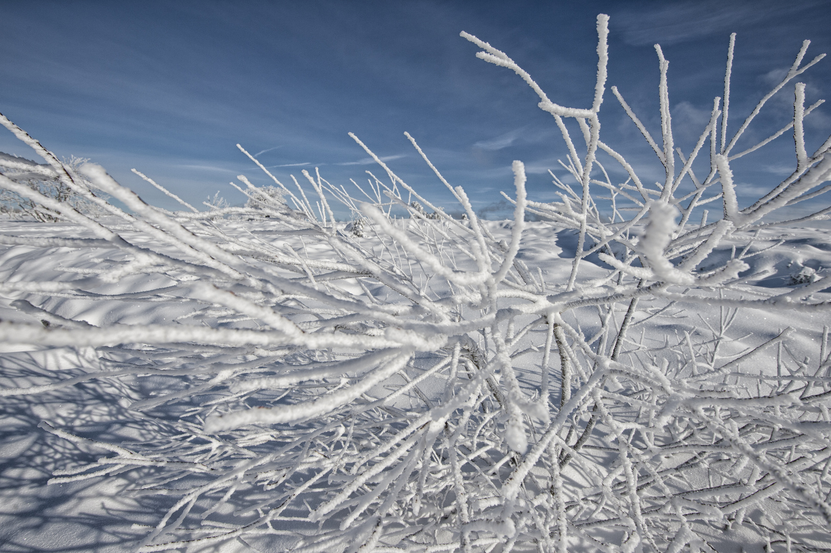 Winterlandschaft