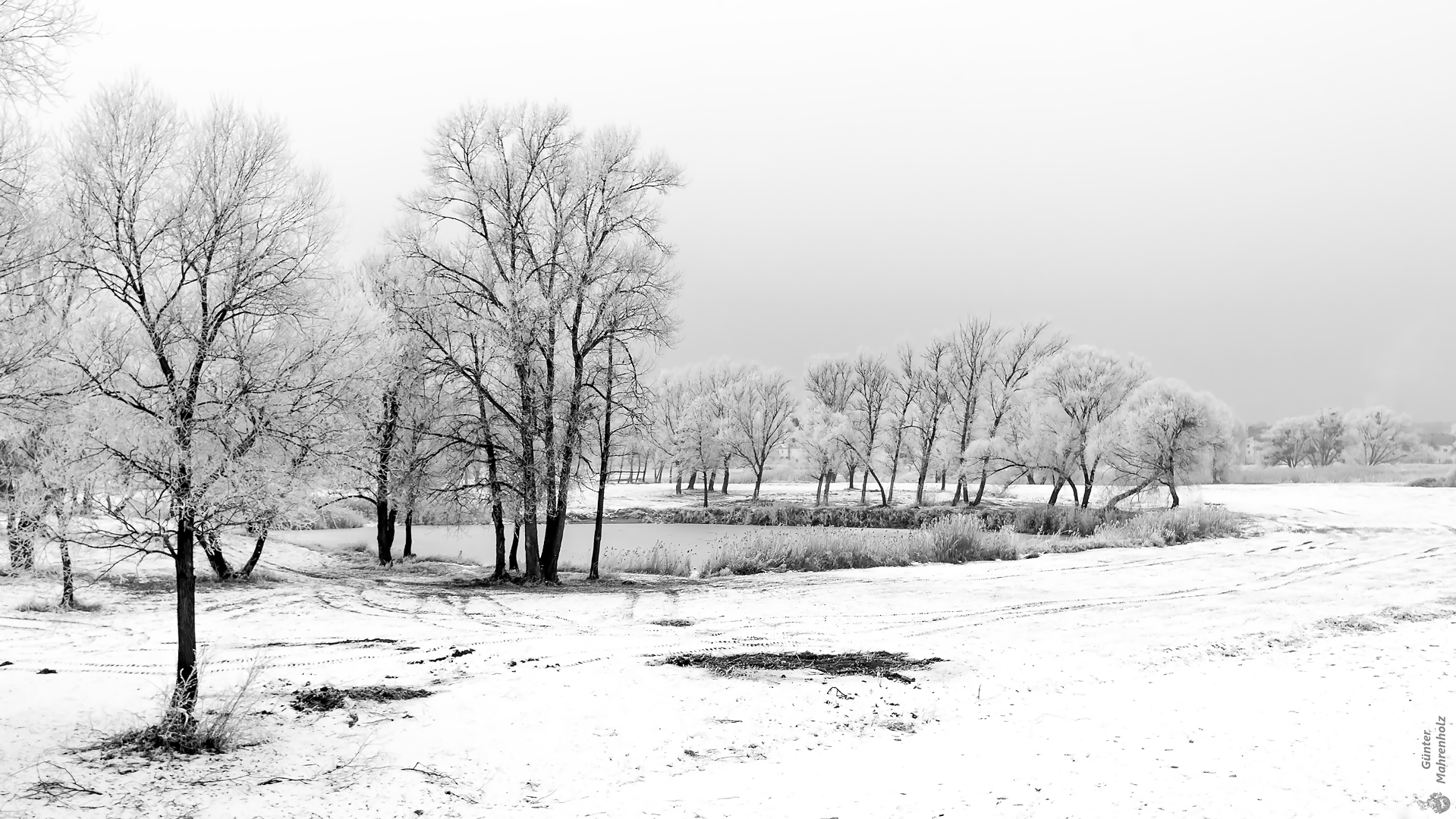 Winterlandschaft