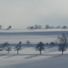 Winterlandschaft