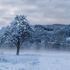 Winterlandschaft