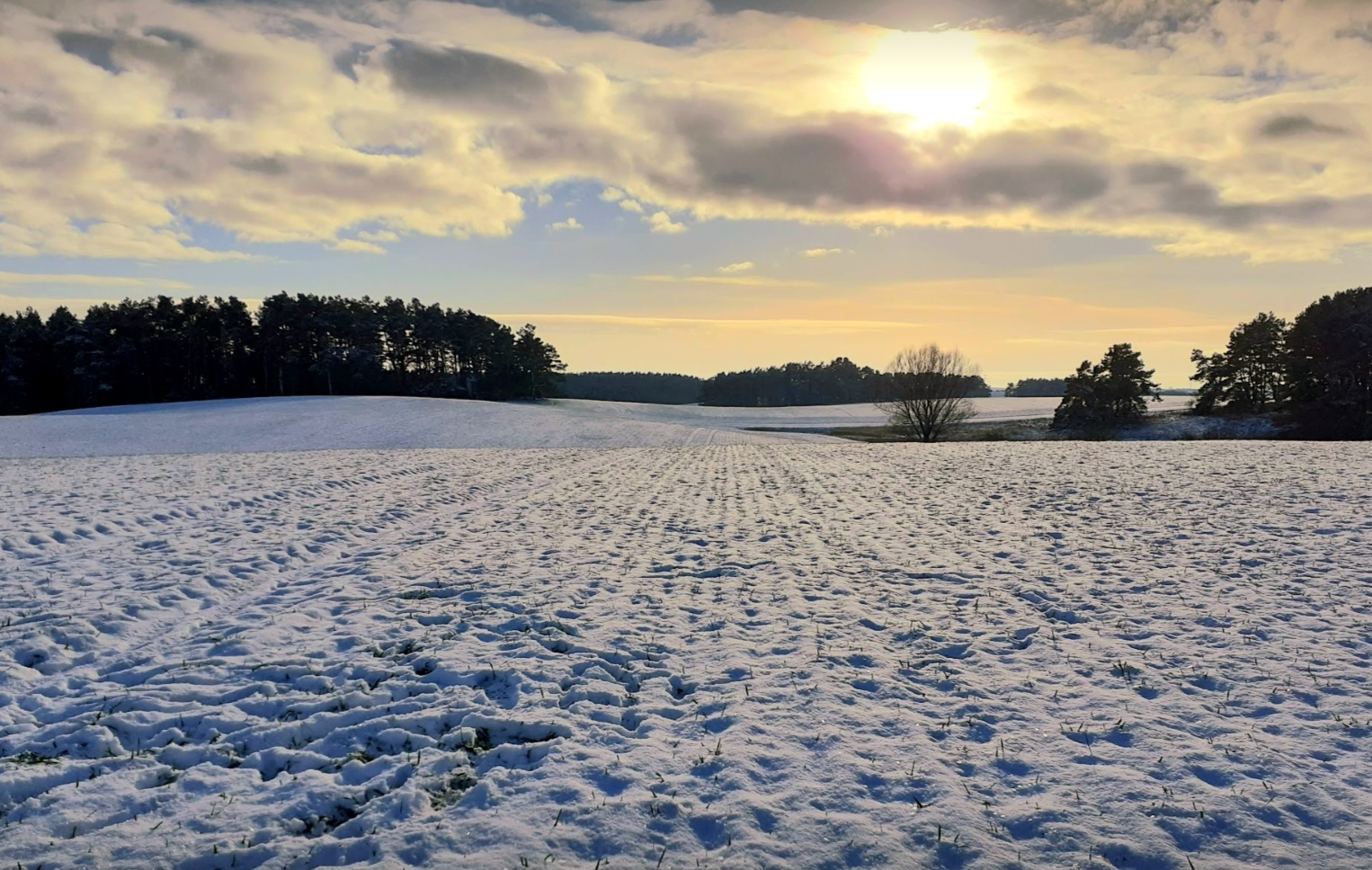 Winterlandschaft