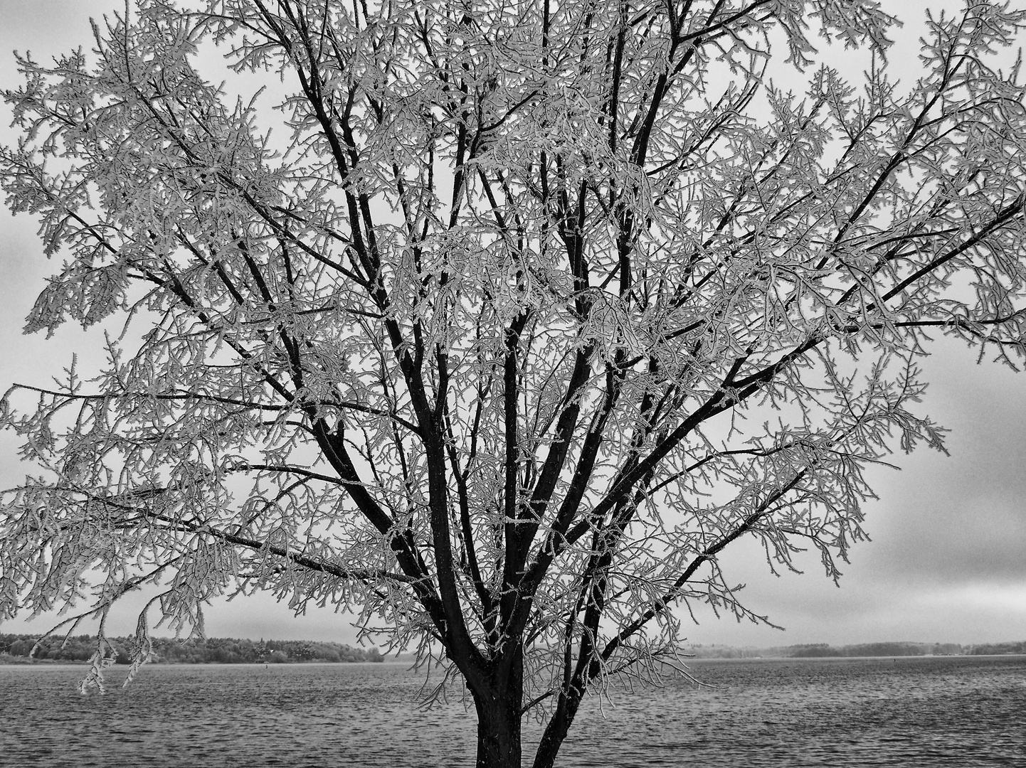 ... winterlandschaft           