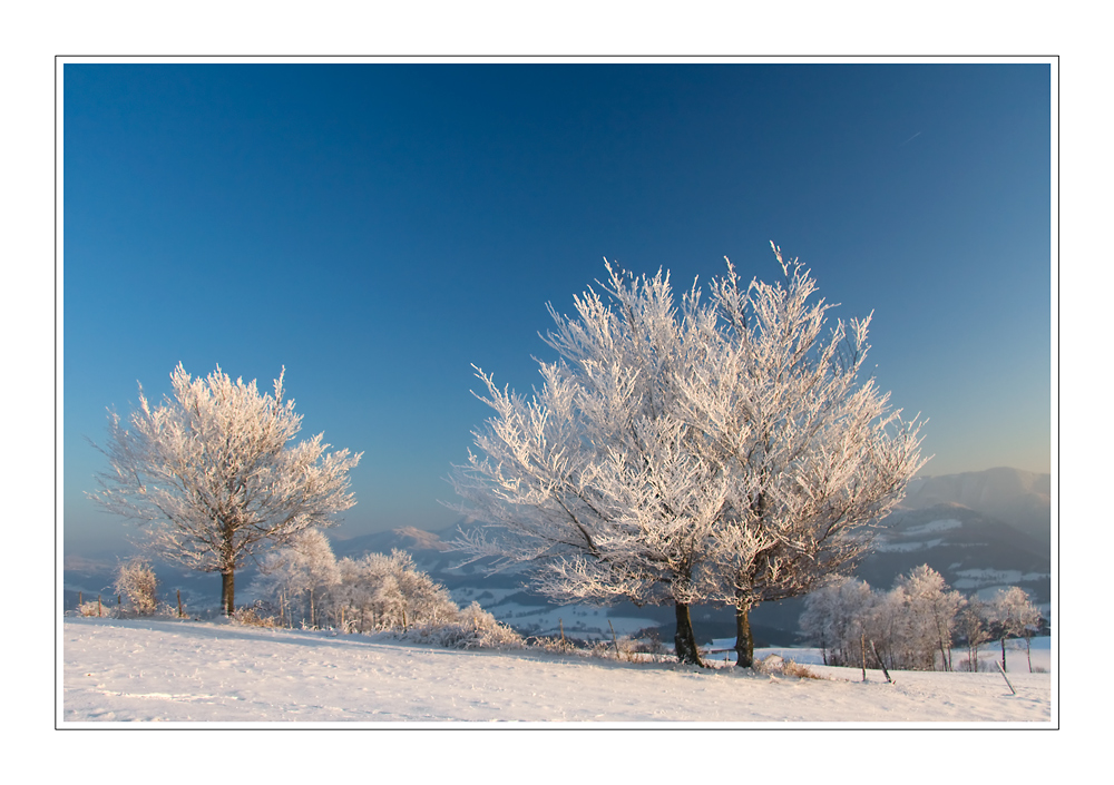 Winterlandschaft