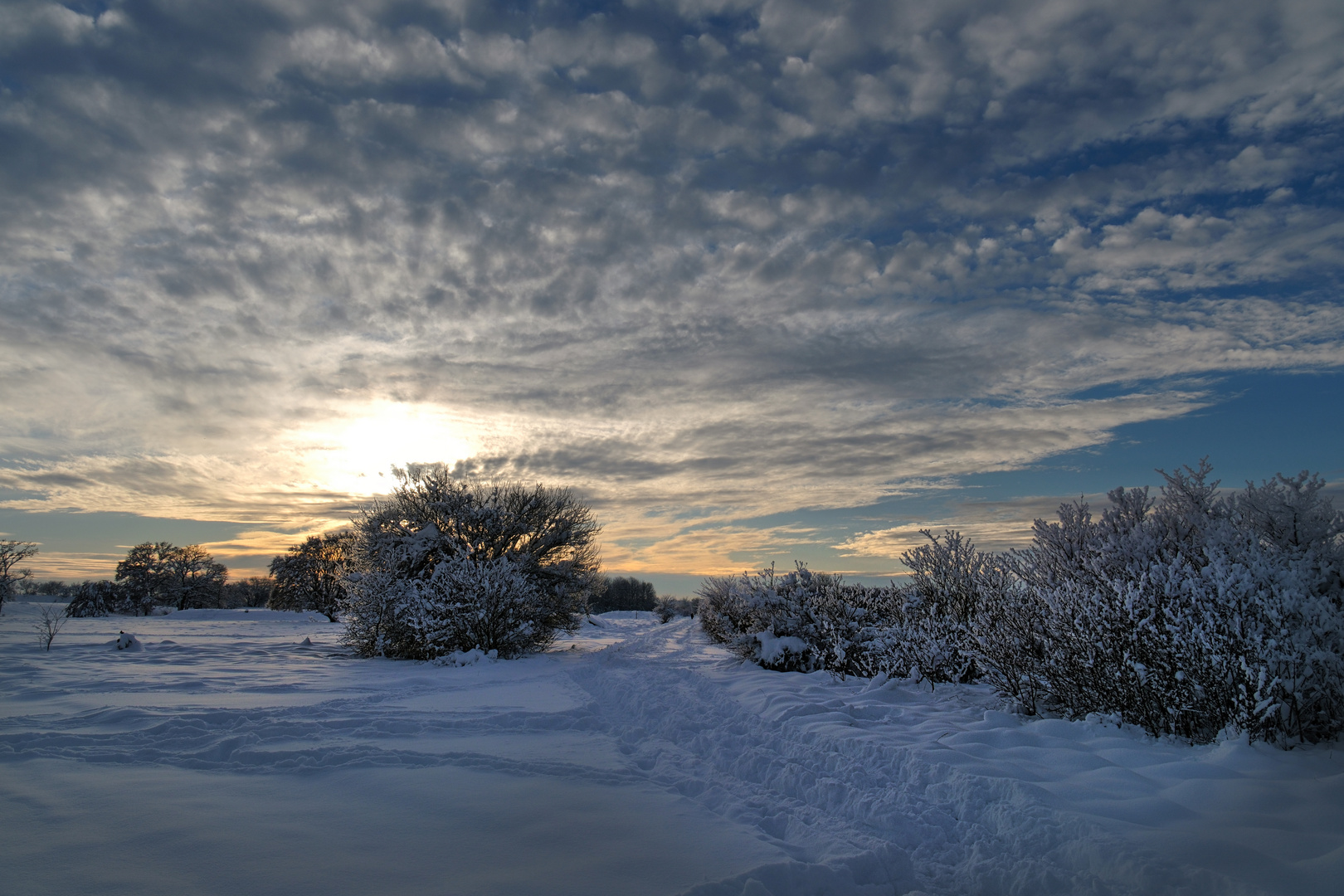 " Winterlandschaft "