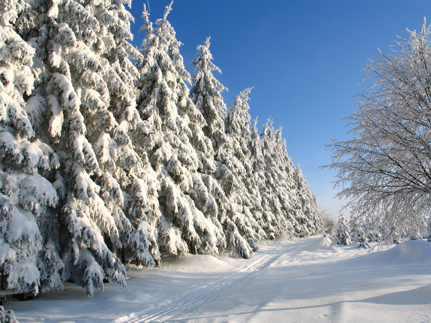 Winterlandschaft