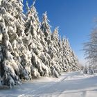 Winterlandschaft