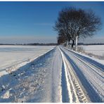 Winterlandschaft