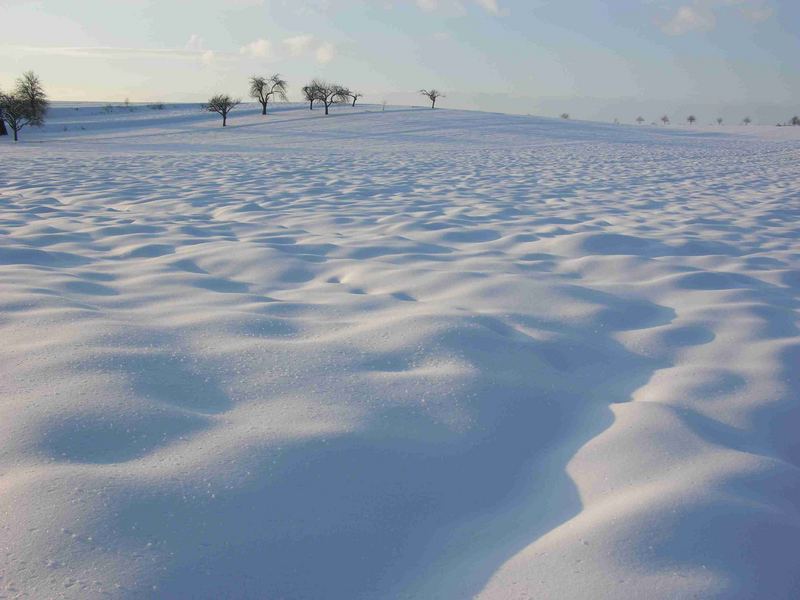 Winterlandschaft