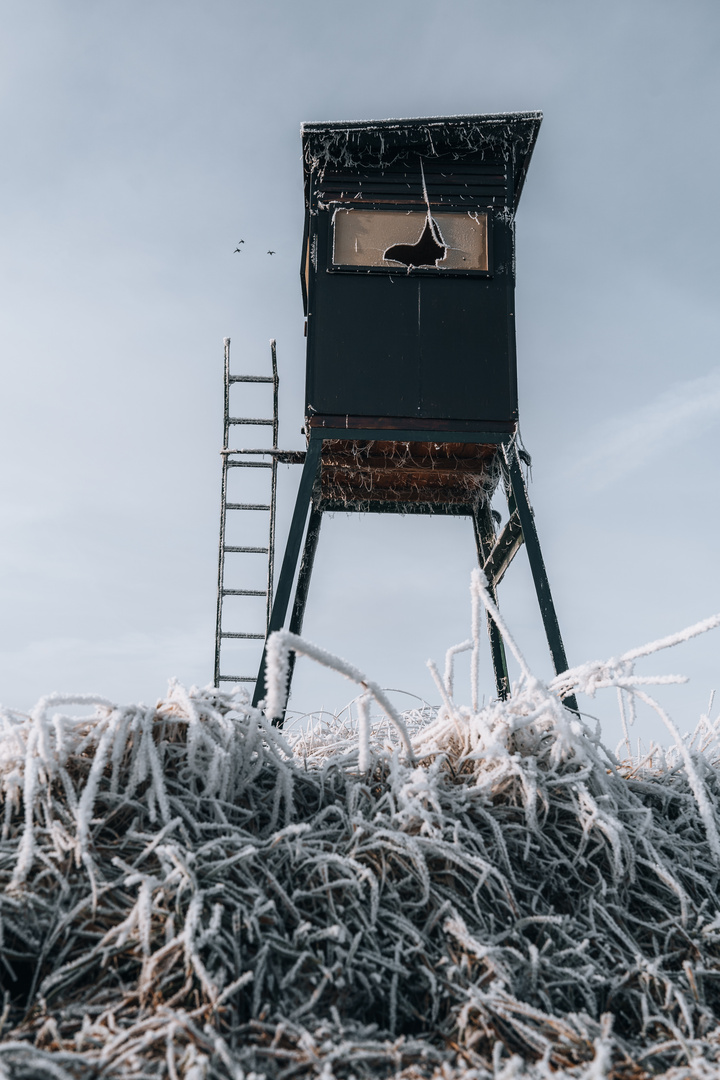 Winterlandschaft