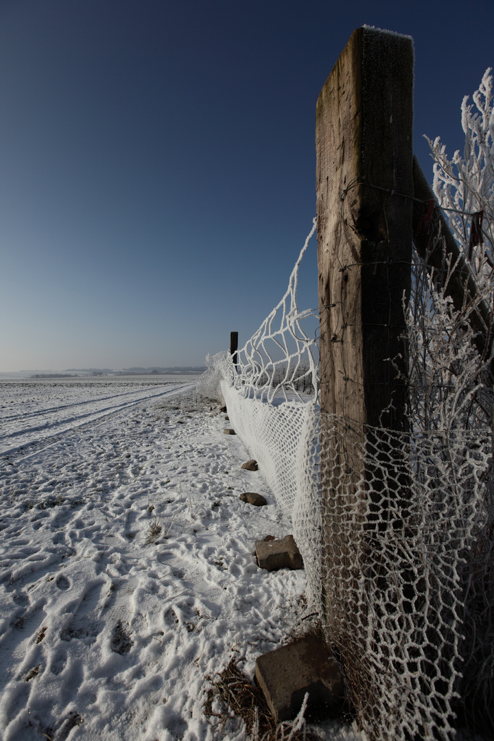 Winterlandschaft