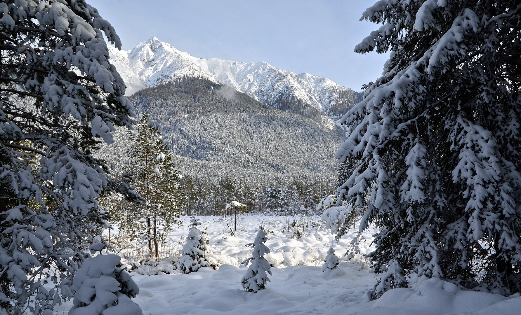 Winterlandschaft