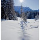 Winterlandschaft