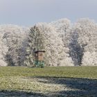 winterlandschaft