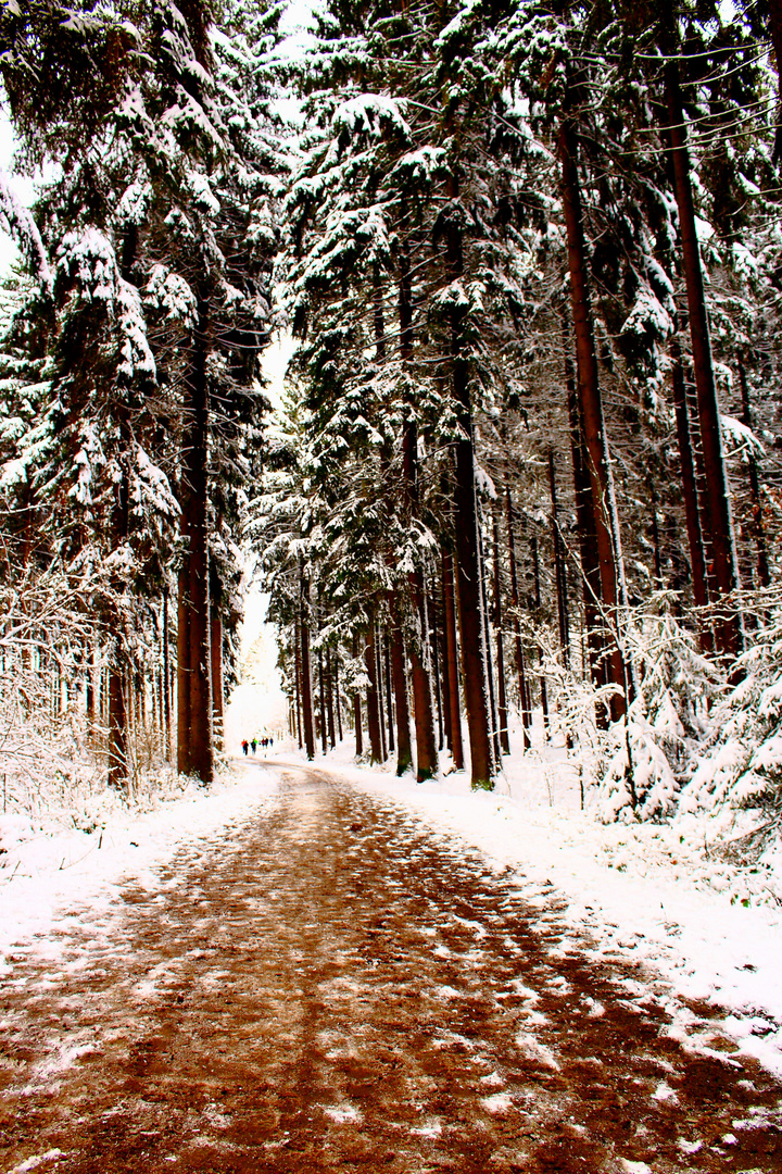 Winterlandschaft