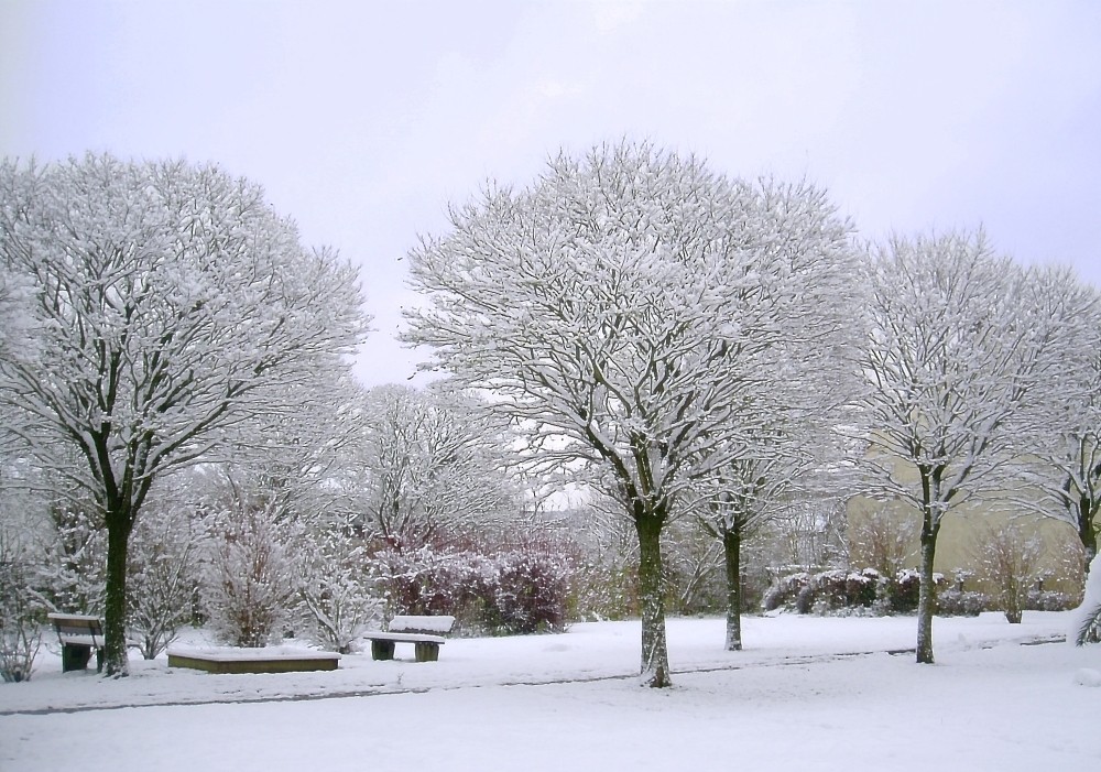 Winterlandschaft