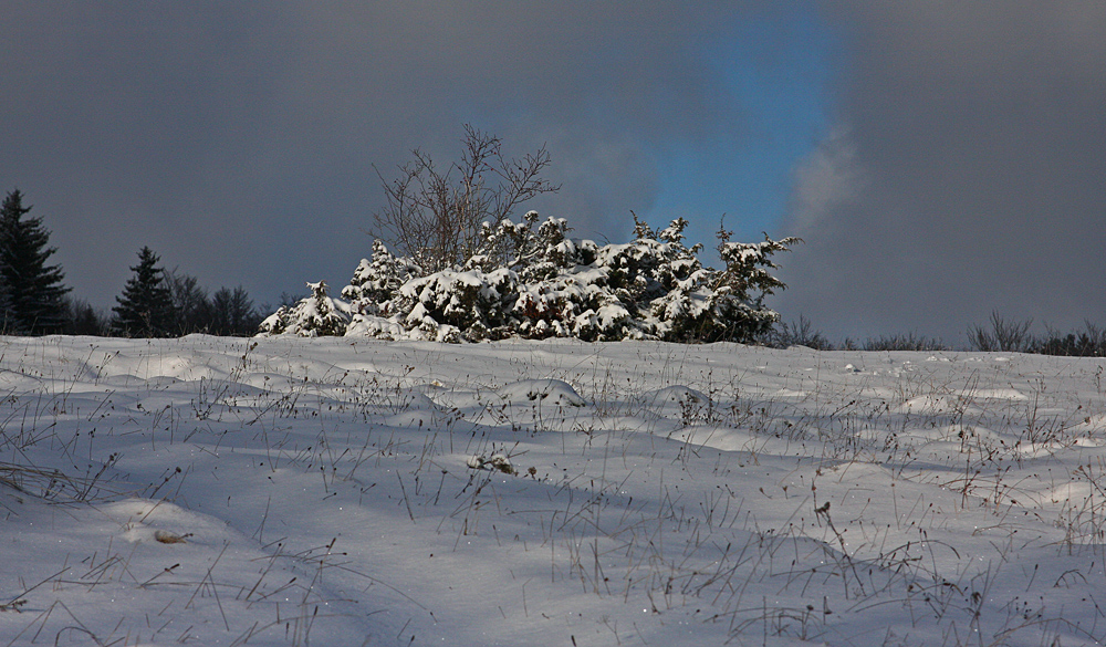 Winterlandschaft