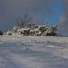 Winterlandschaft