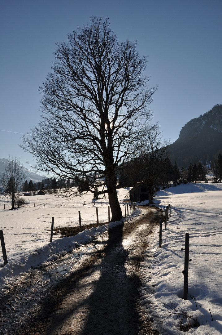 Winterlandschaft