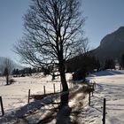 Winterlandschaft