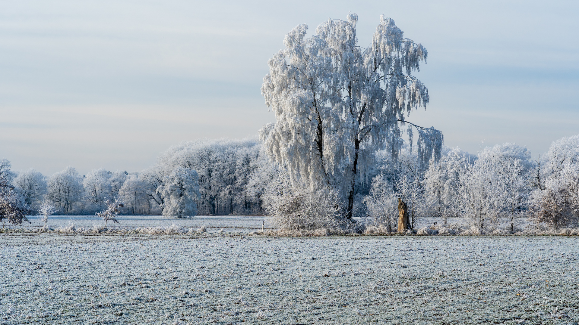 Winterlandschaft