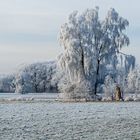 Winterlandschaft