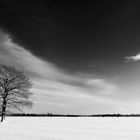 Winterlandschaft