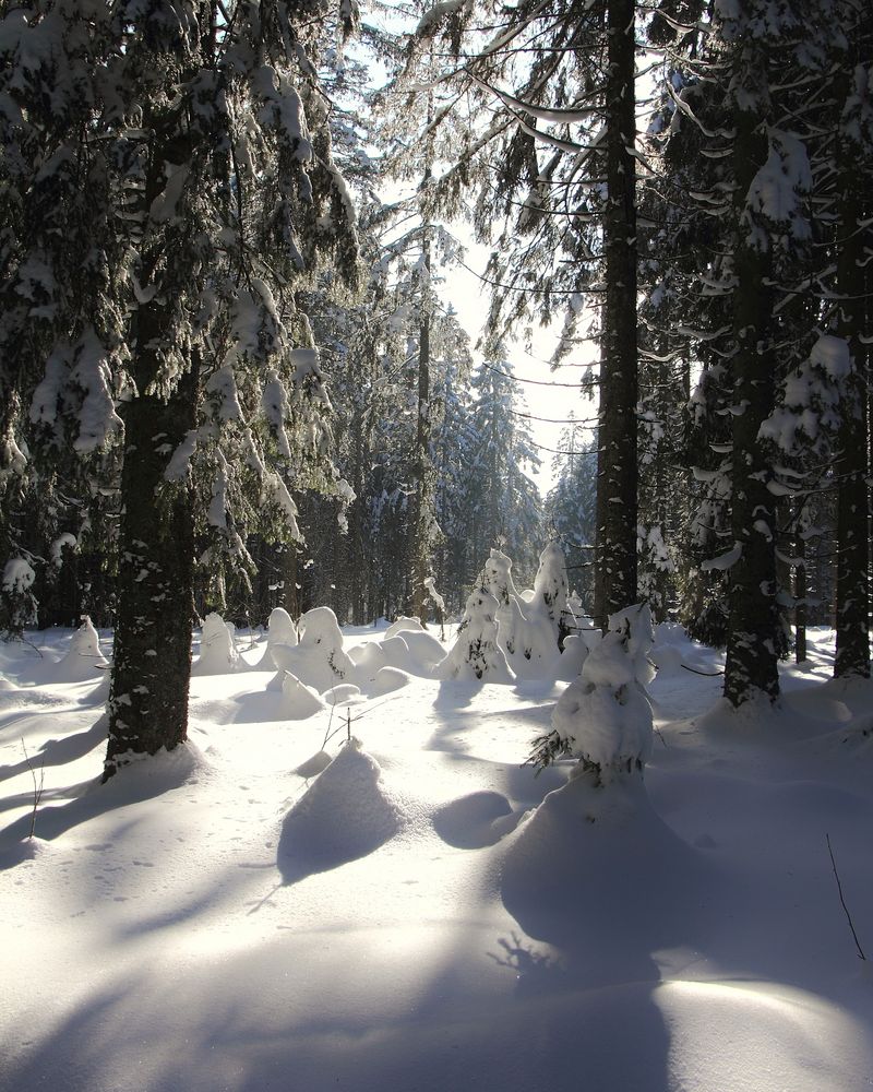 Winterlandschaft