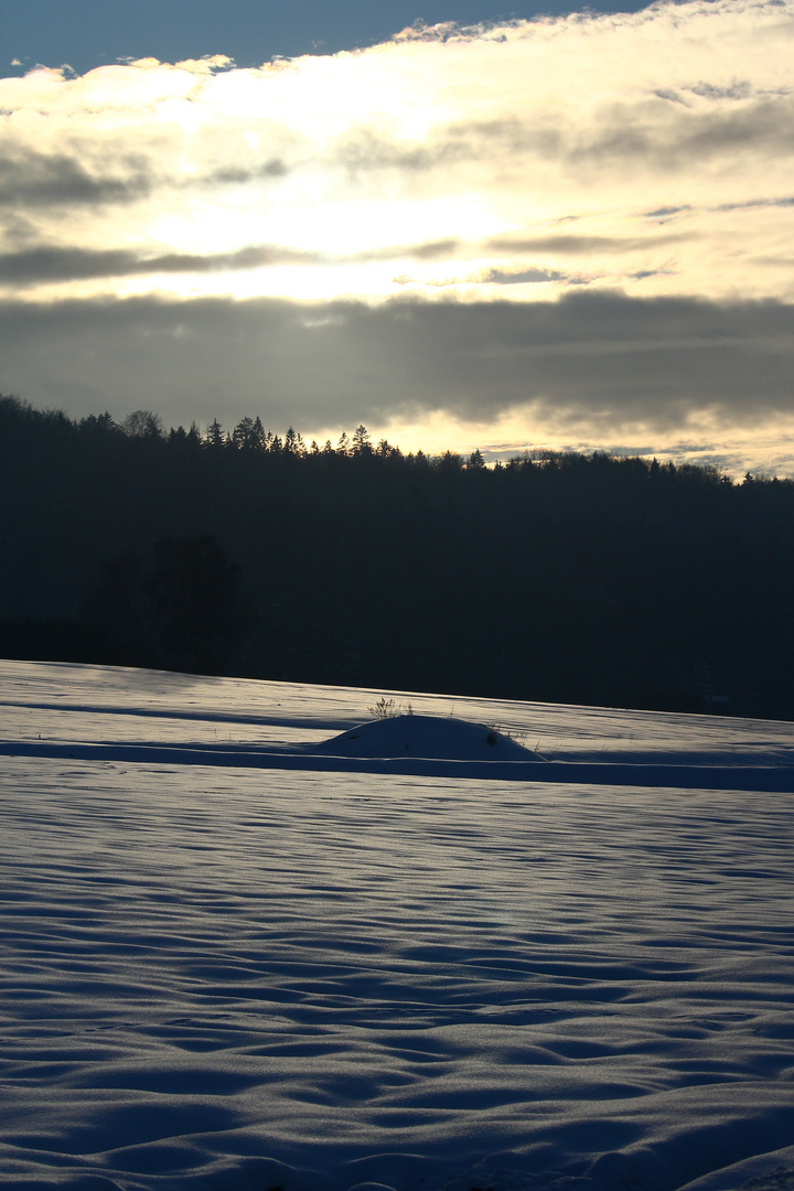 Winterlandschaft