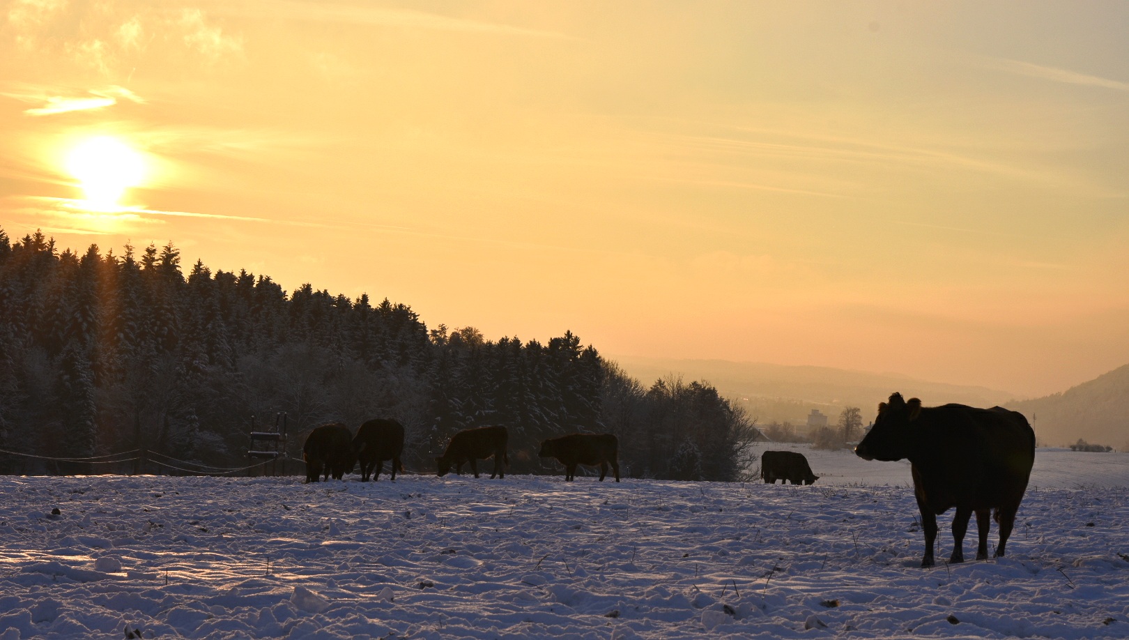 Winterlandschaft