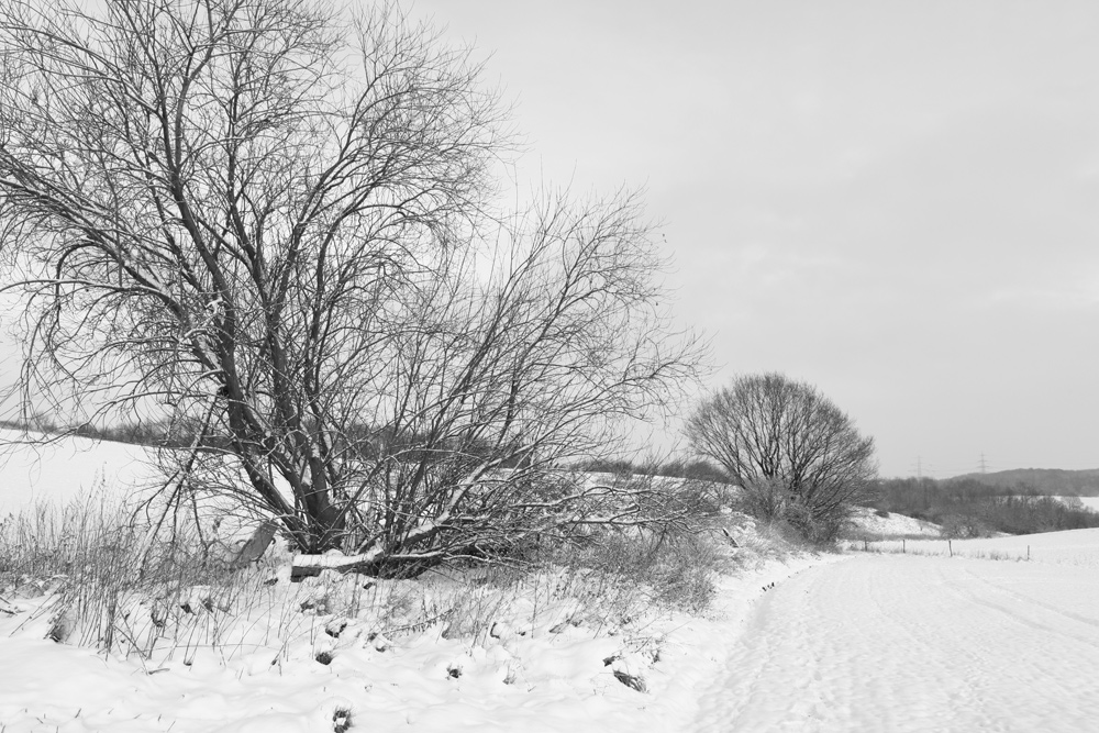 Winterlandschaft 7