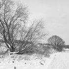 Winterlandschaft 7