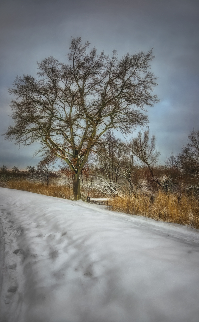 Winterlandschaft  (7)