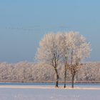 Winterlandschaft