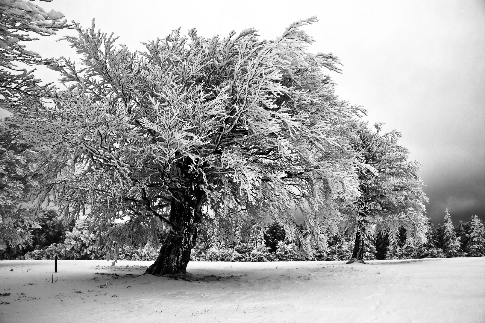 Winterlandschaft