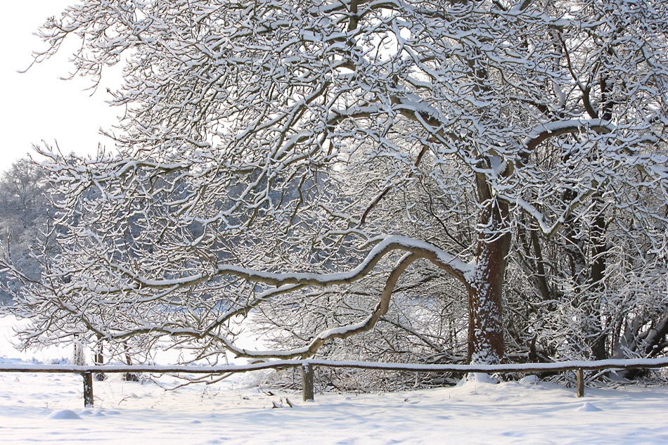 Winterlandschaft