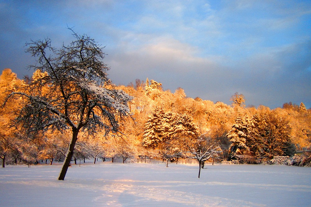 Winterlandschaft