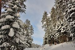 Winterlandschaft