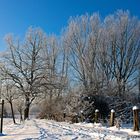 Winterlandschaft