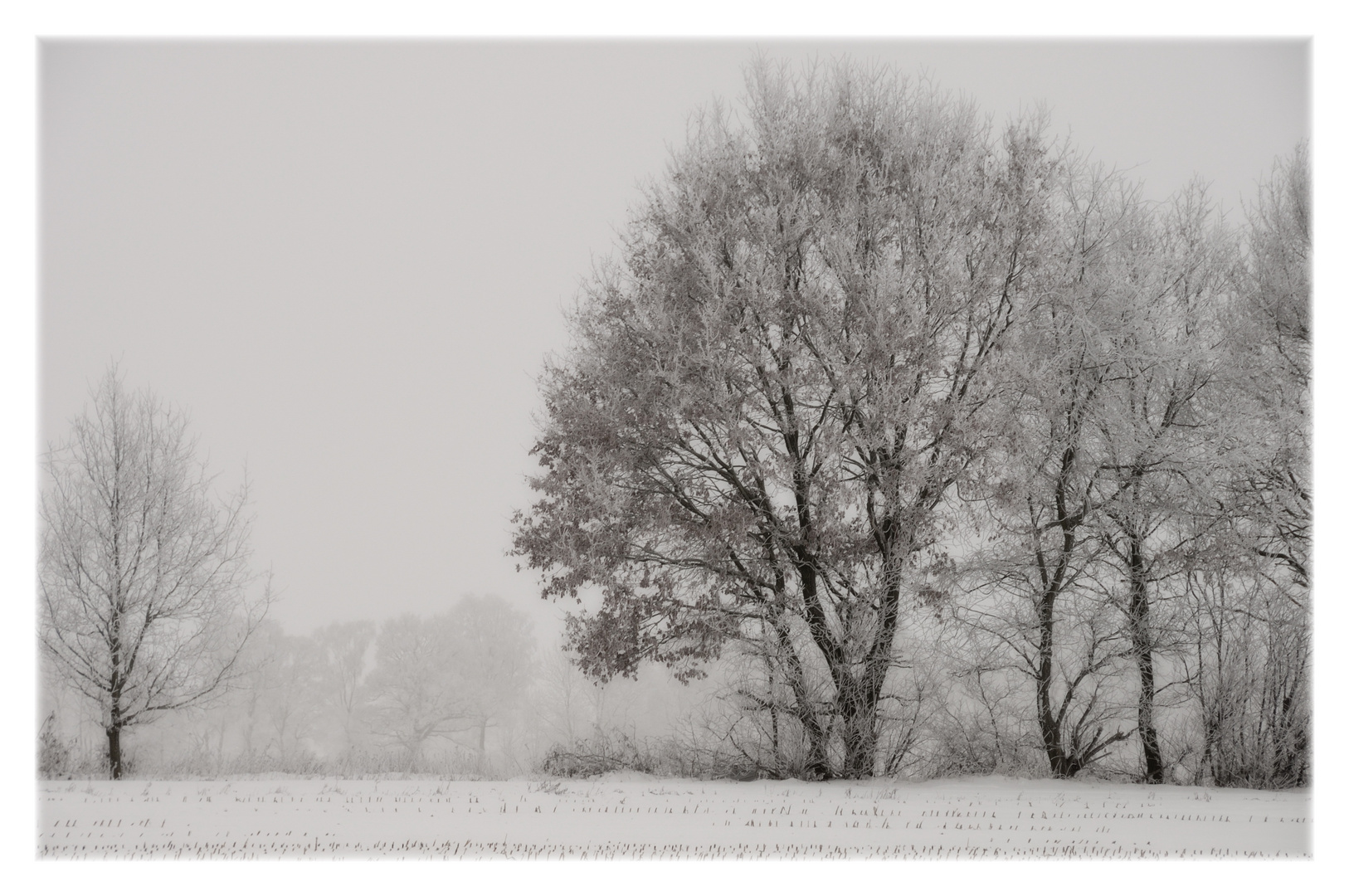 Winterlandschaft