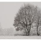 Winterlandschaft