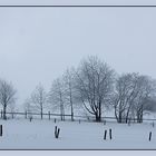 Winterlandschaft