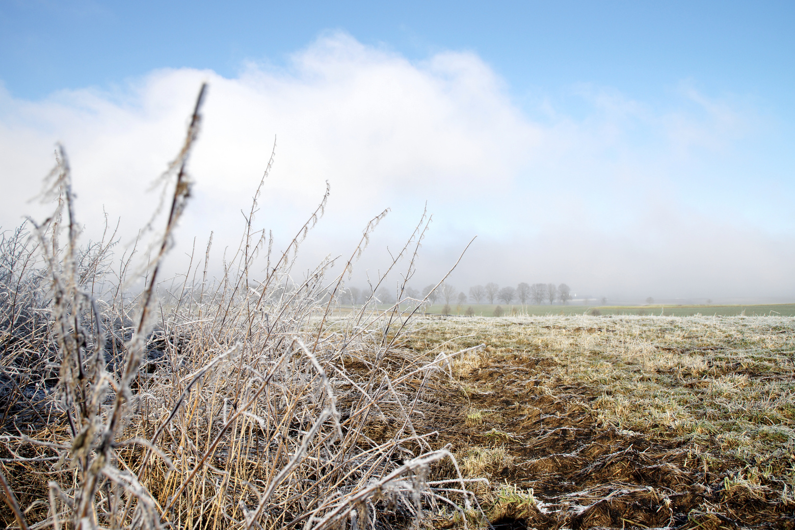 Winterlandschaft