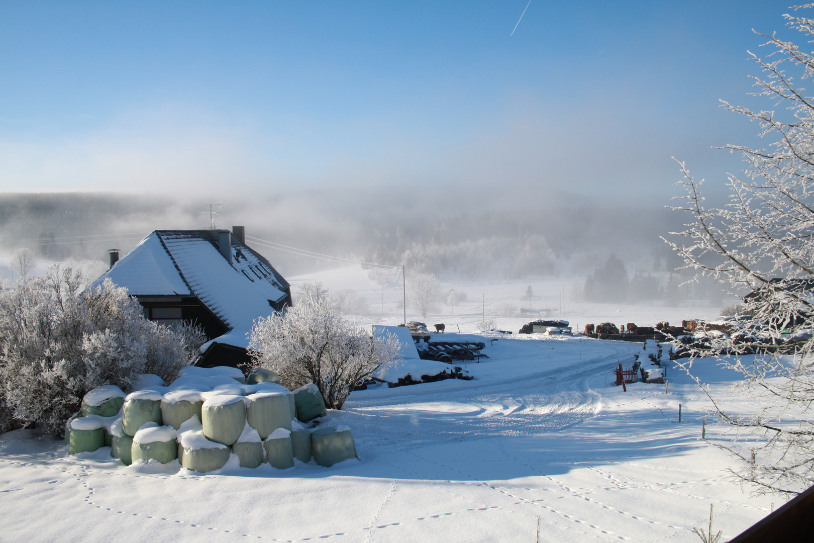 Winterlandschaft