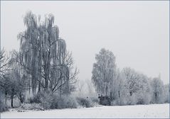 Winterlandschaft