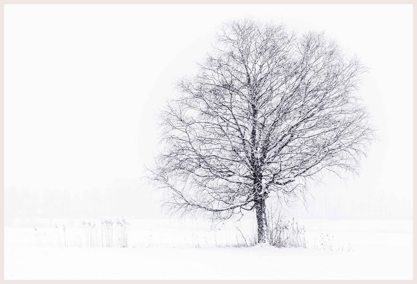 Winterlandschaft