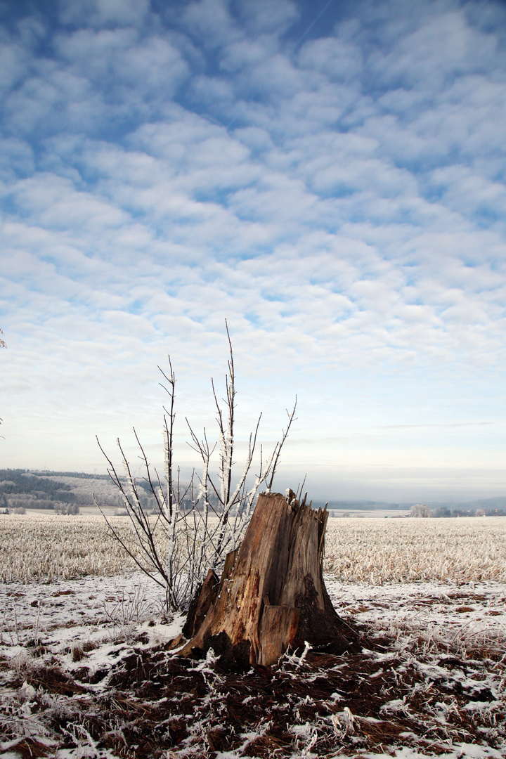 Winterlandschaft