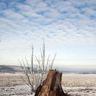 Winterlandschaft