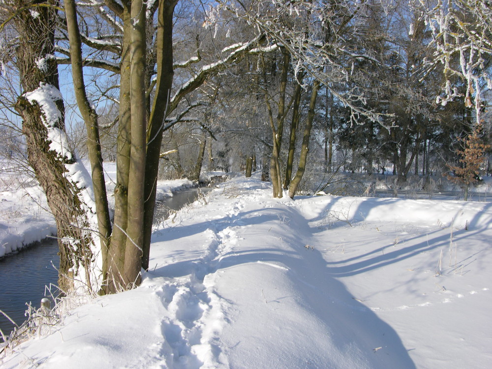 Winterlandschaft