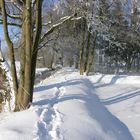 Winterlandschaft